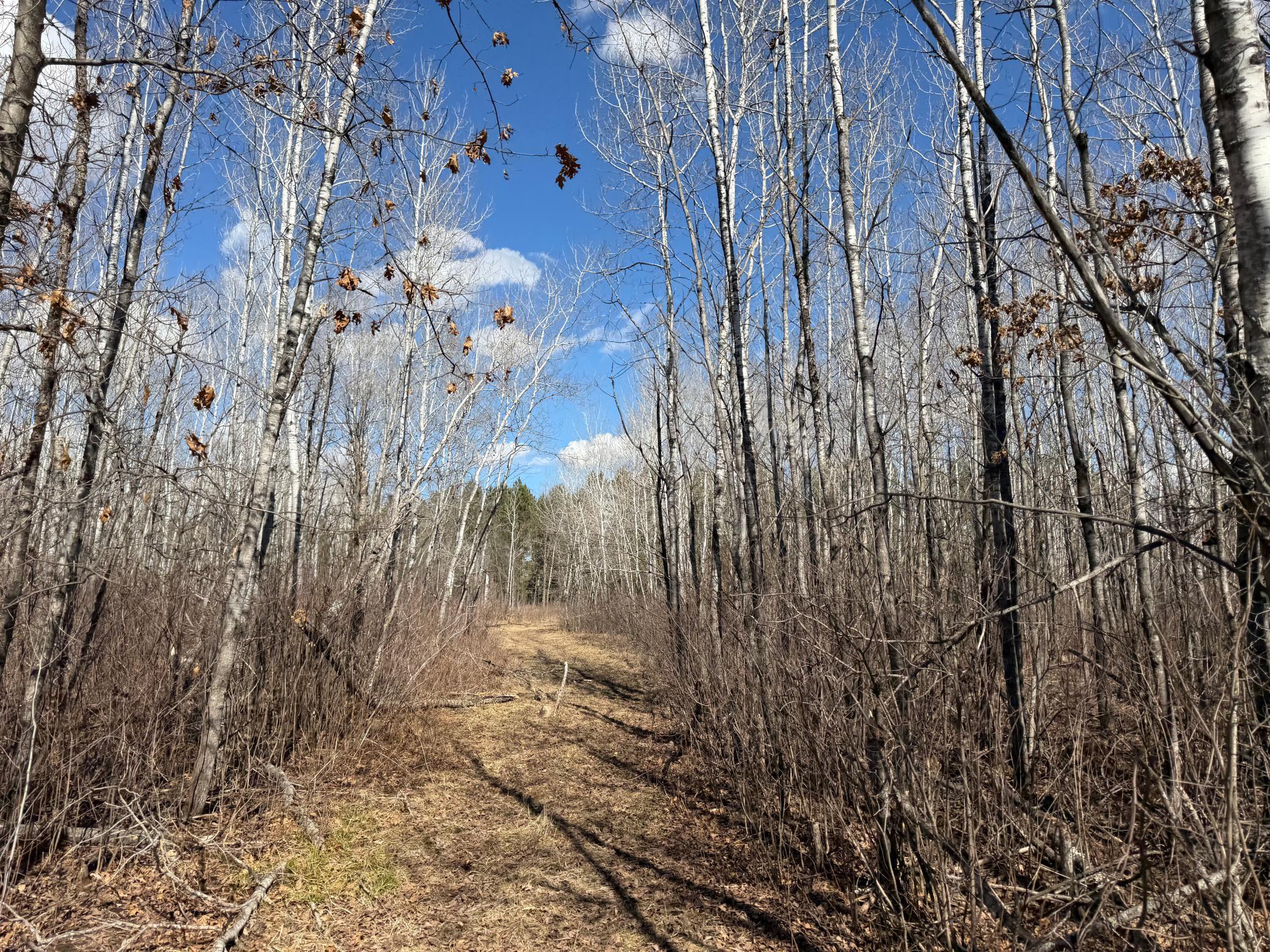 Tbd Anderson Crossing Road Sebeka, MN 56477 - Photo 23 of 55