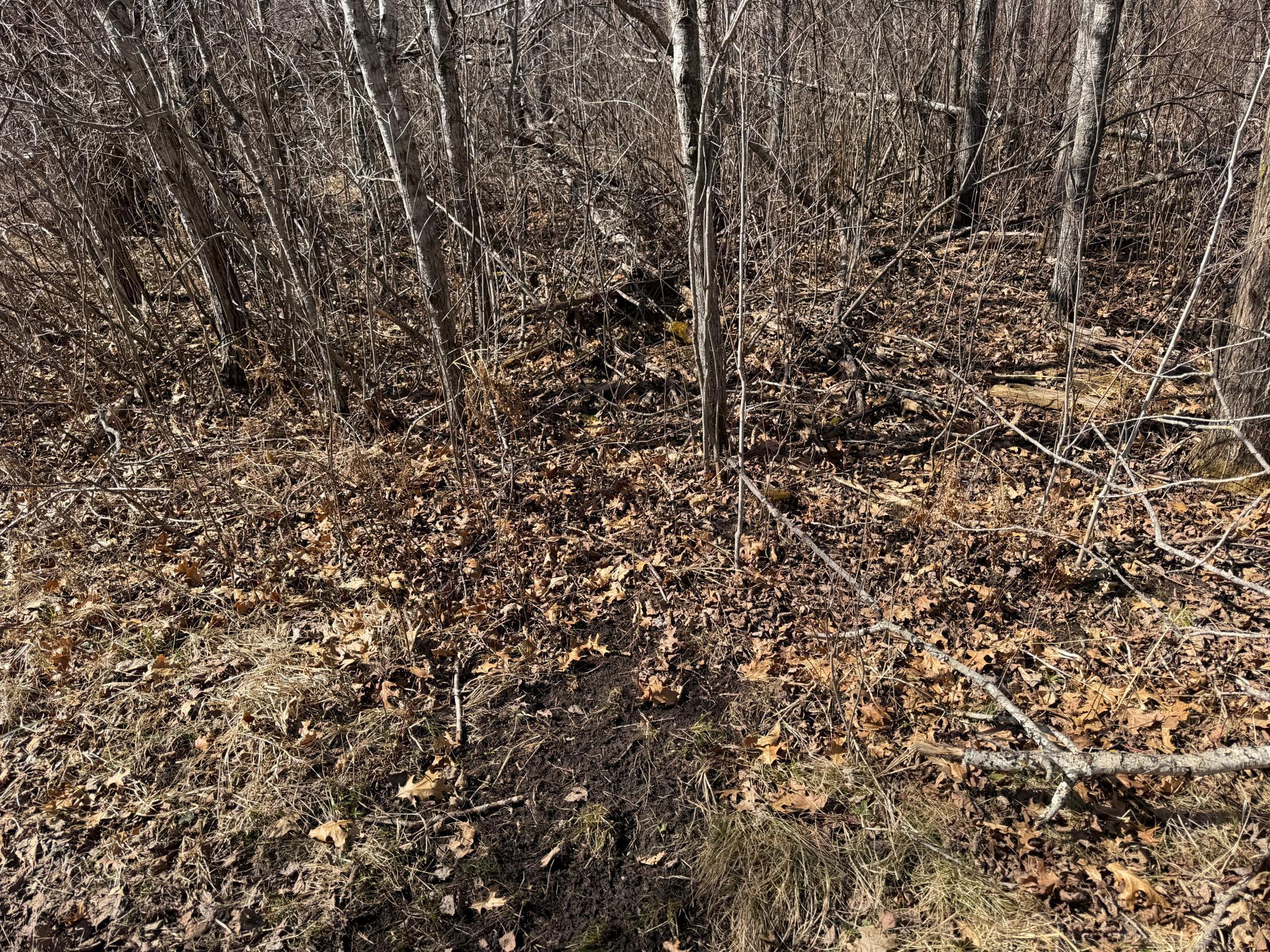 Tbd Anderson Crossing Road Sebeka, MN 56477 - Photo 24 of 55