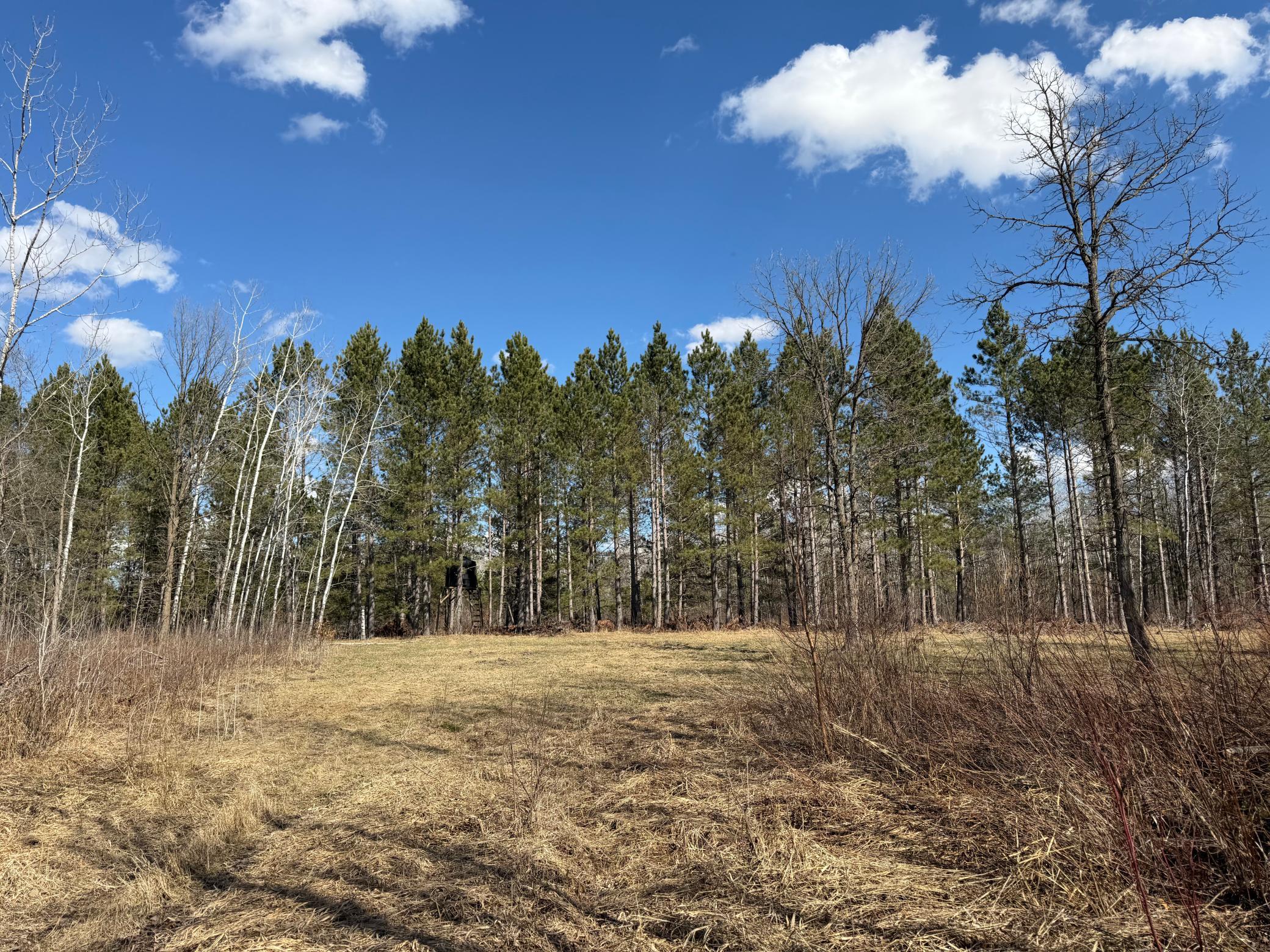 Tbd Anderson Crossing Road Sebeka, MN 56477 - Photo 25 of 55