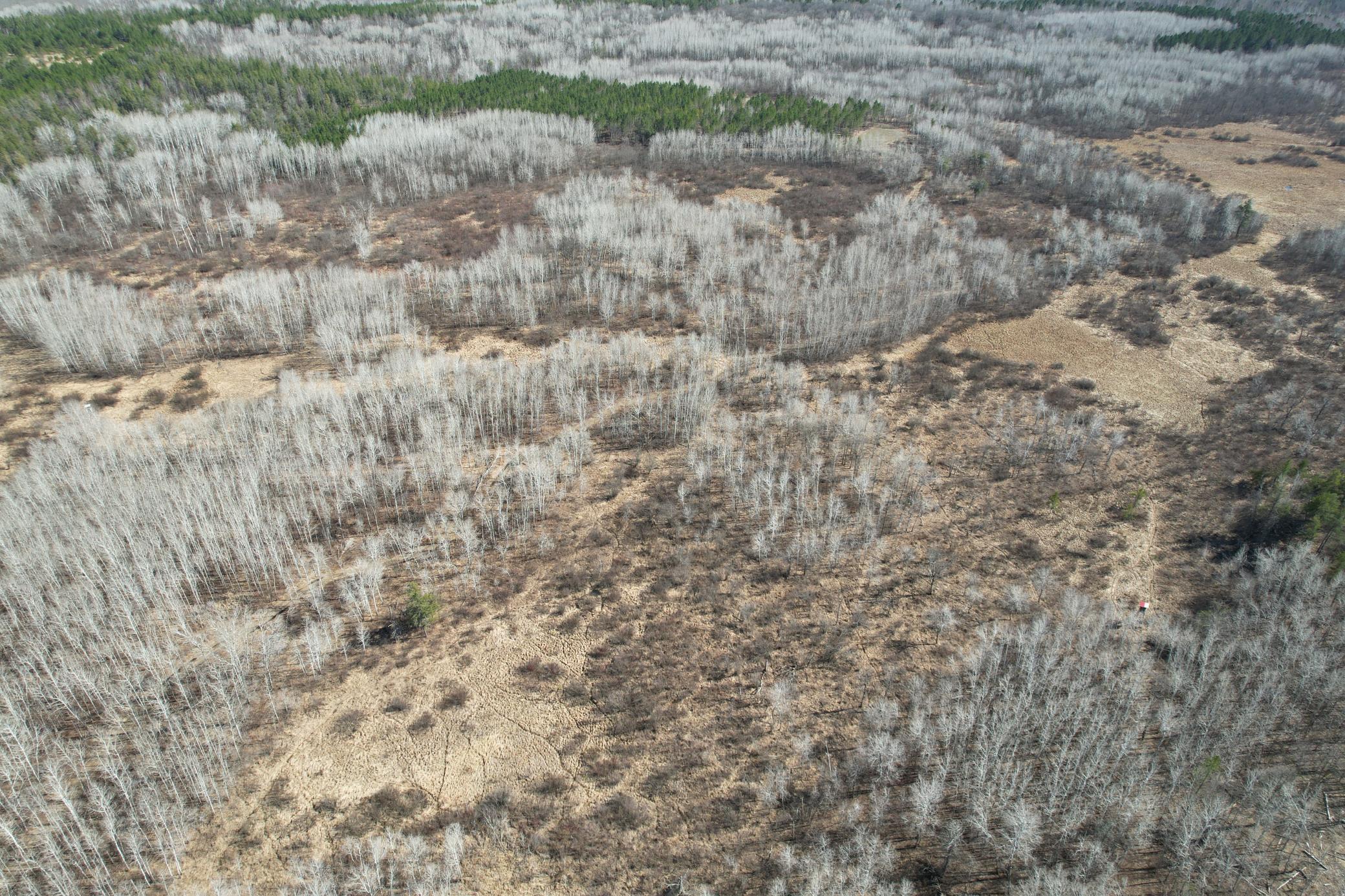 Tbd Anderson Crossing Road Sebeka, MN 56477 - Photo 3 of 55