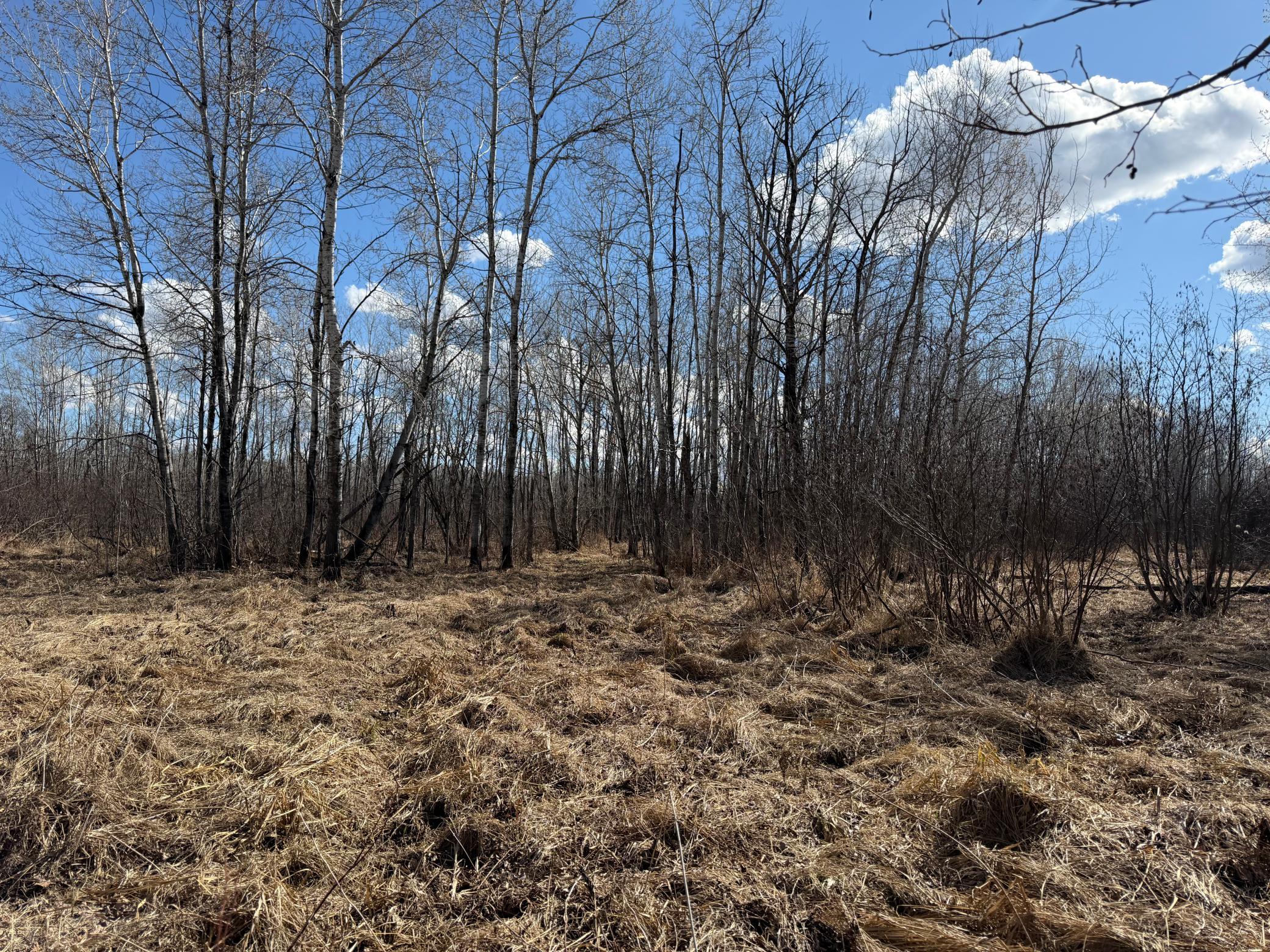 Tbd Anderson Crossing Road Sebeka, MN 56477 - Photo 31 of 55