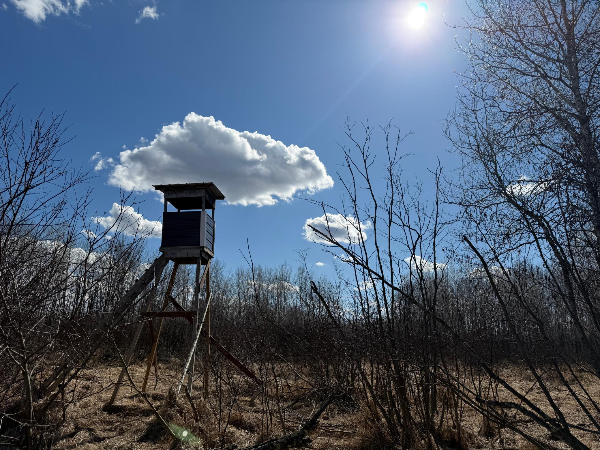 Tbd Anderson Crossing Road Sebeka, MN 56477 - Photo 32 of 55