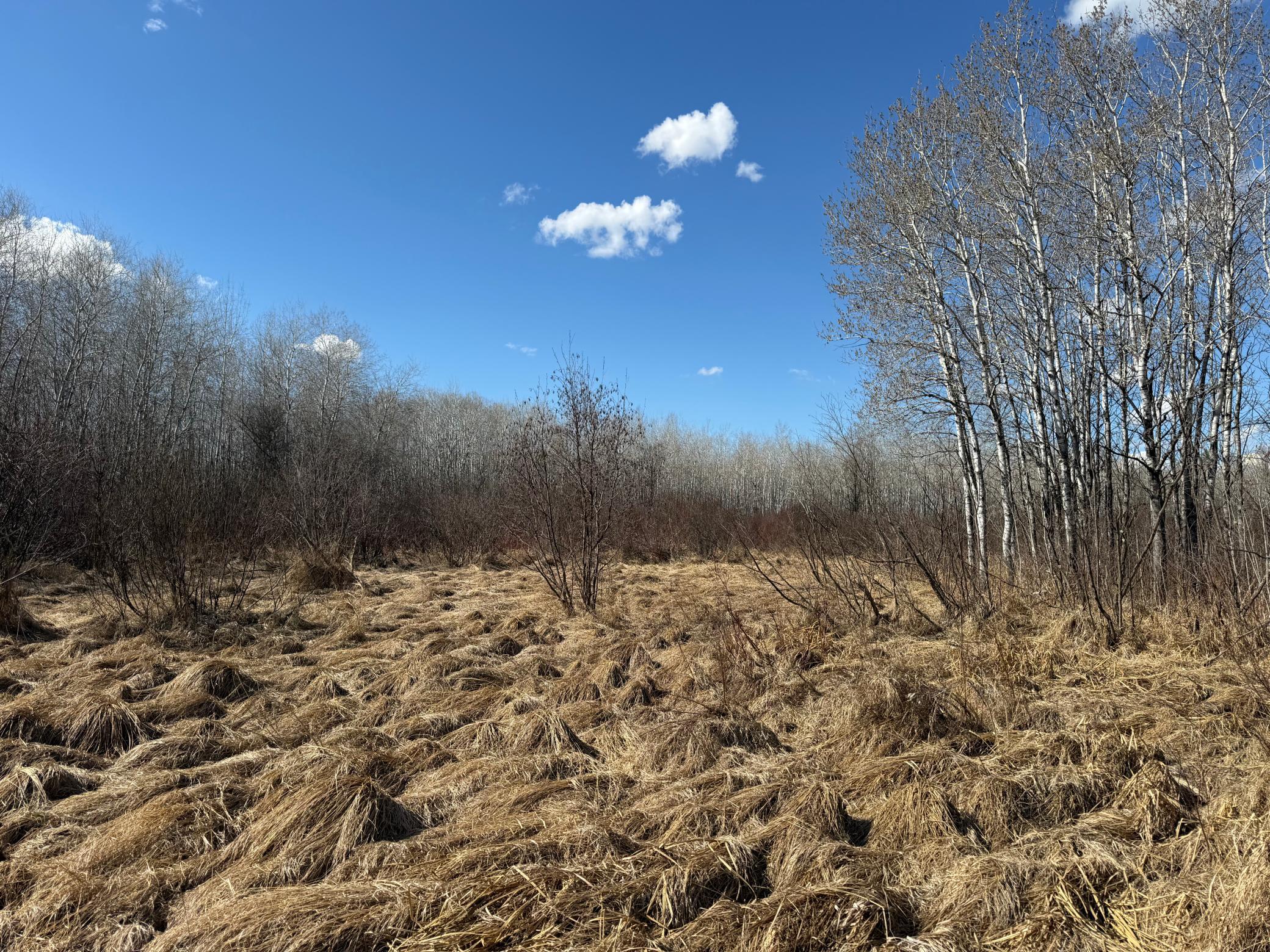 Tbd Anderson Crossing Road Sebeka, MN 56477 - Photo 33 of 55