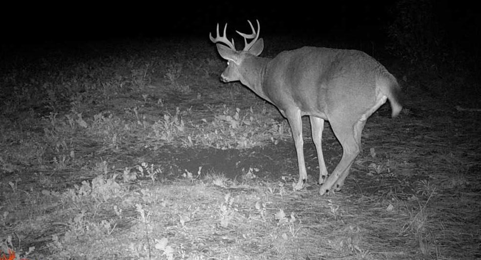 Tbd Anderson Crossing Road Sebeka, MN 56477 - Photo 34 of 55