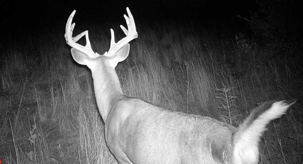 Tbd Anderson Crossing Road Sebeka, MN 56477 - Photo 35 of 55