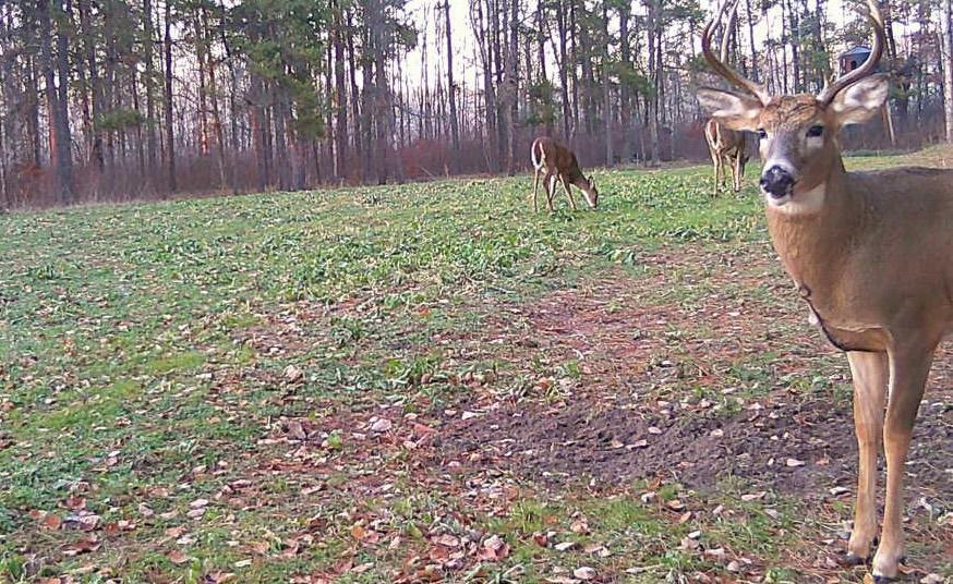 Tbd Anderson Crossing Road Sebeka, MN 56477 - Photo 36 of 55