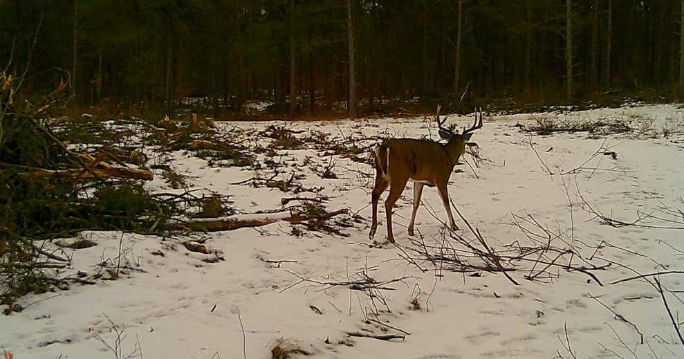 Tbd Anderson Crossing Road Sebeka, MN 56477 - Photo 38 of 55