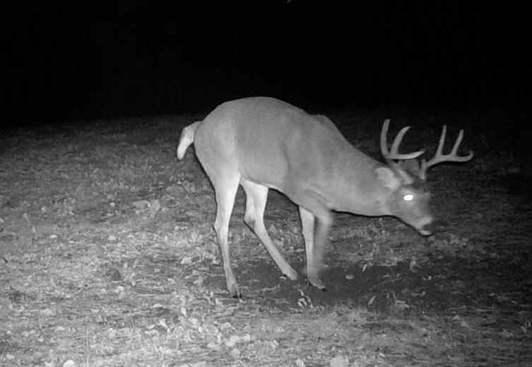 Tbd Anderson Crossing Road Sebeka, MN 56477 - Photo 39 of 55