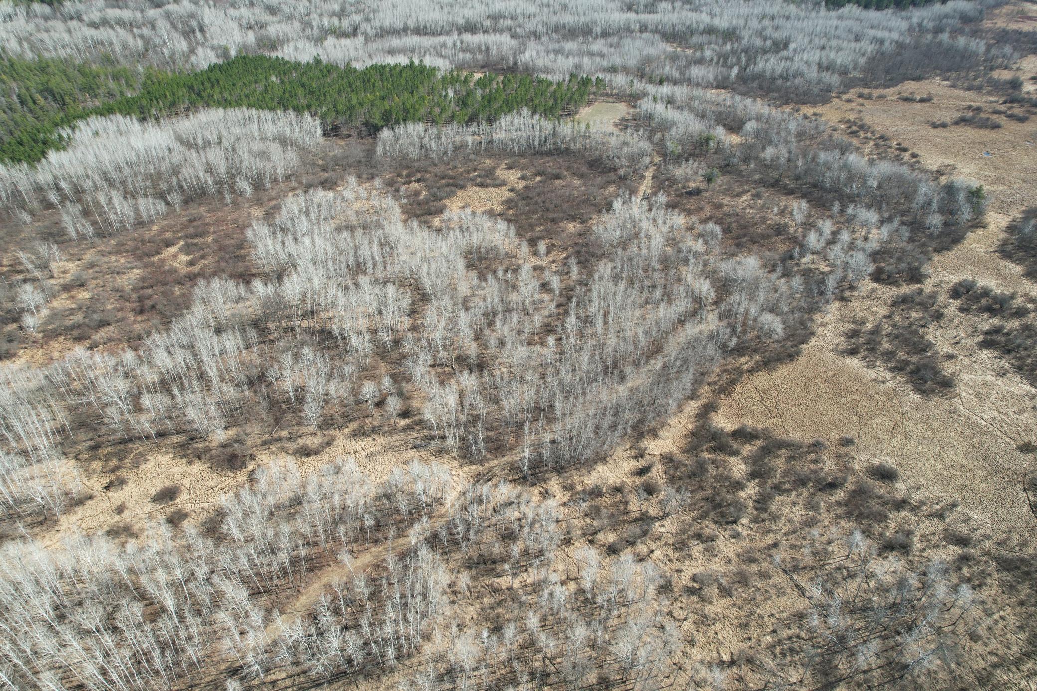 Tbd Anderson Crossing Road Sebeka, MN 56477 - Photo 4 of 55