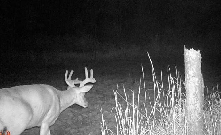 Tbd Anderson Crossing Road Sebeka, MN 56477 - Photo 41 of 55