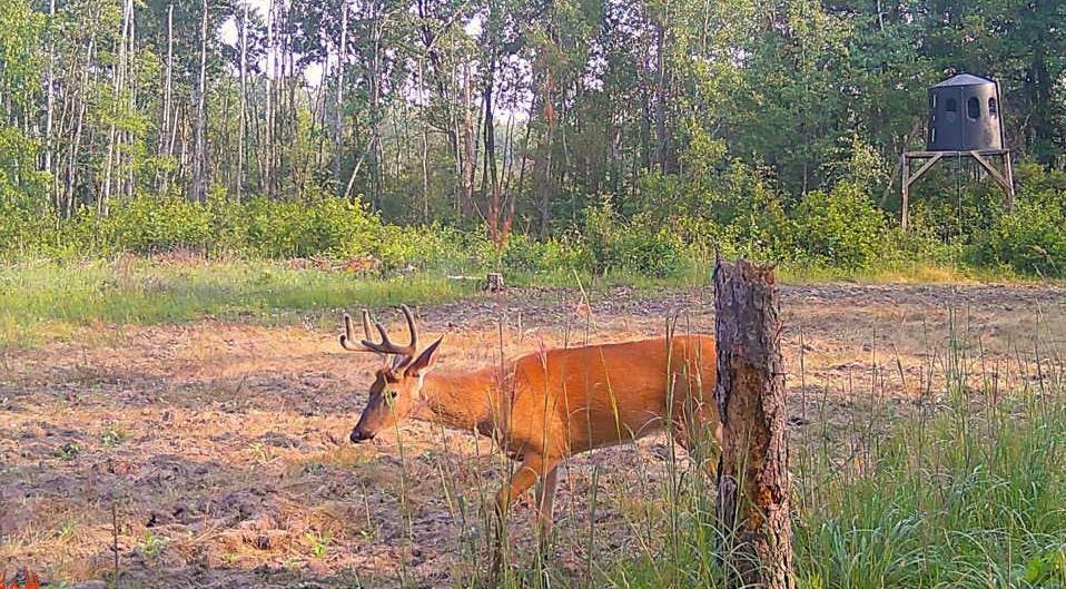 Tbd Anderson Crossing Road Sebeka, MN 56477 - Photo 42 of 55