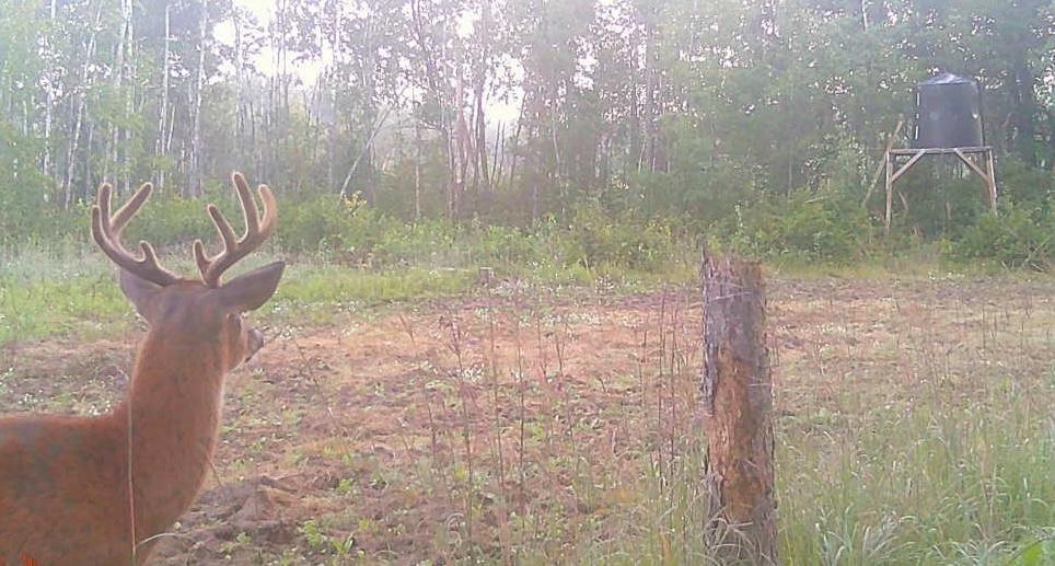 Tbd Anderson Crossing Road Sebeka, MN 56477 - Photo 43 of 55