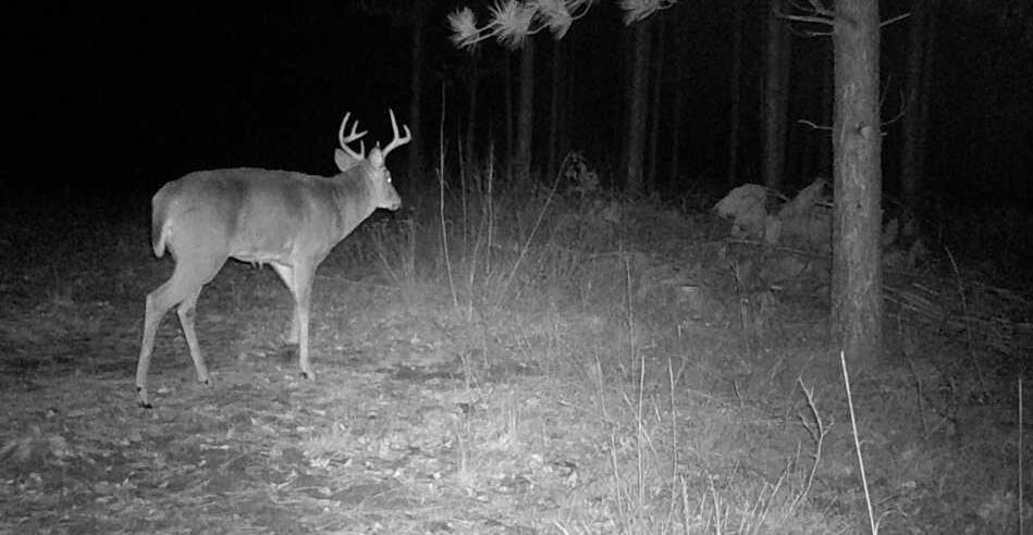 Tbd Anderson Crossing Road Sebeka, MN 56477 - Photo 45 of 55