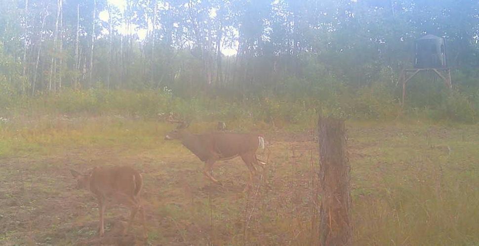 Tbd Anderson Crossing Road Sebeka, MN 56477 - Photo 47 of 55