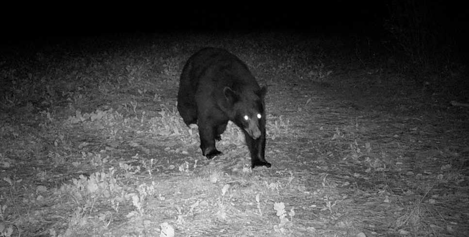 Tbd Anderson Crossing Road Sebeka, MN 56477 - Photo 48 of 55