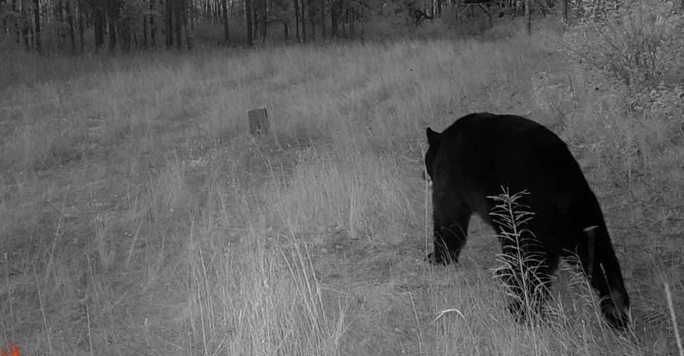 Tbd Anderson Crossing Road Sebeka, MN 56477 - Photo 50 of 55