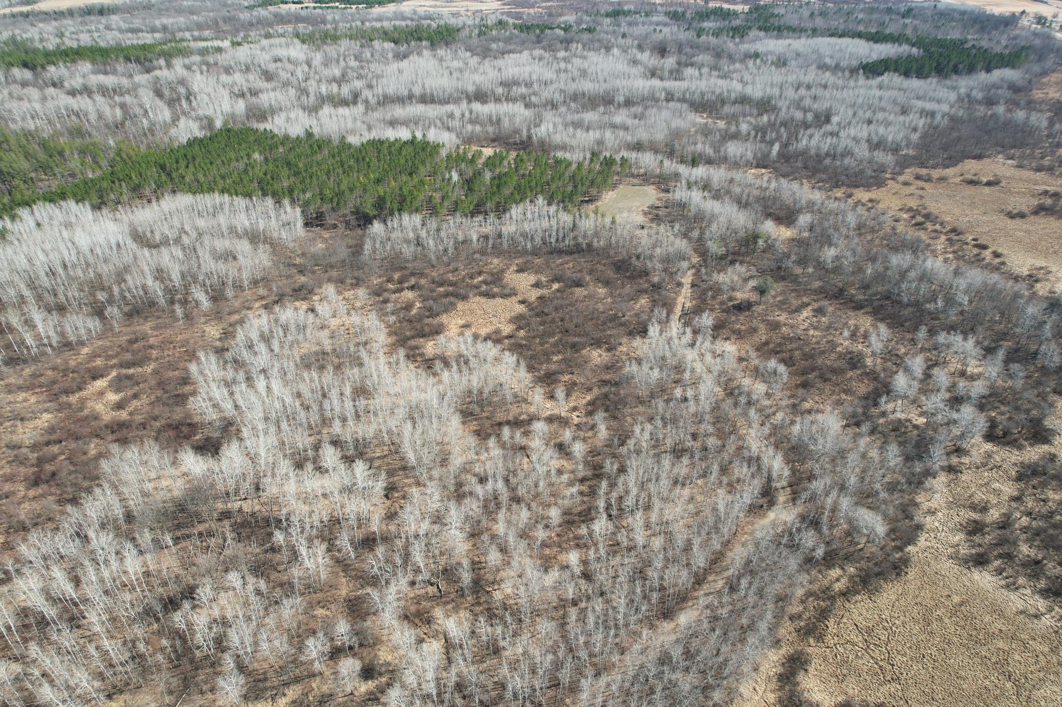 Tbd Anderson Crossing Road Sebeka, MN 56477 - Photo 5 of 55