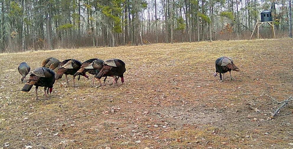Tbd Anderson Crossing Road Sebeka, MN 56477 - Photo 51 of 55