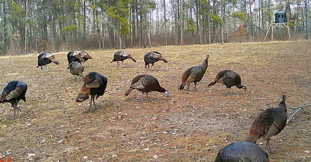 Tbd Anderson Crossing Road Sebeka, MN 56477 - Photo 52 of 55