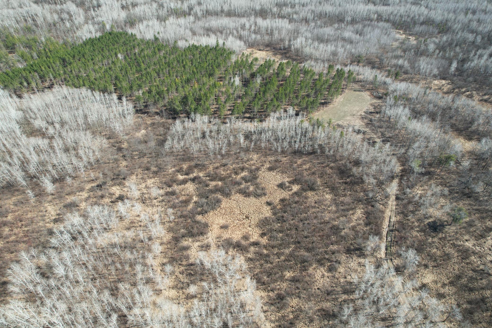 Tbd Anderson Crossing Road Sebeka, MN 56477 - Photo 6 of 55