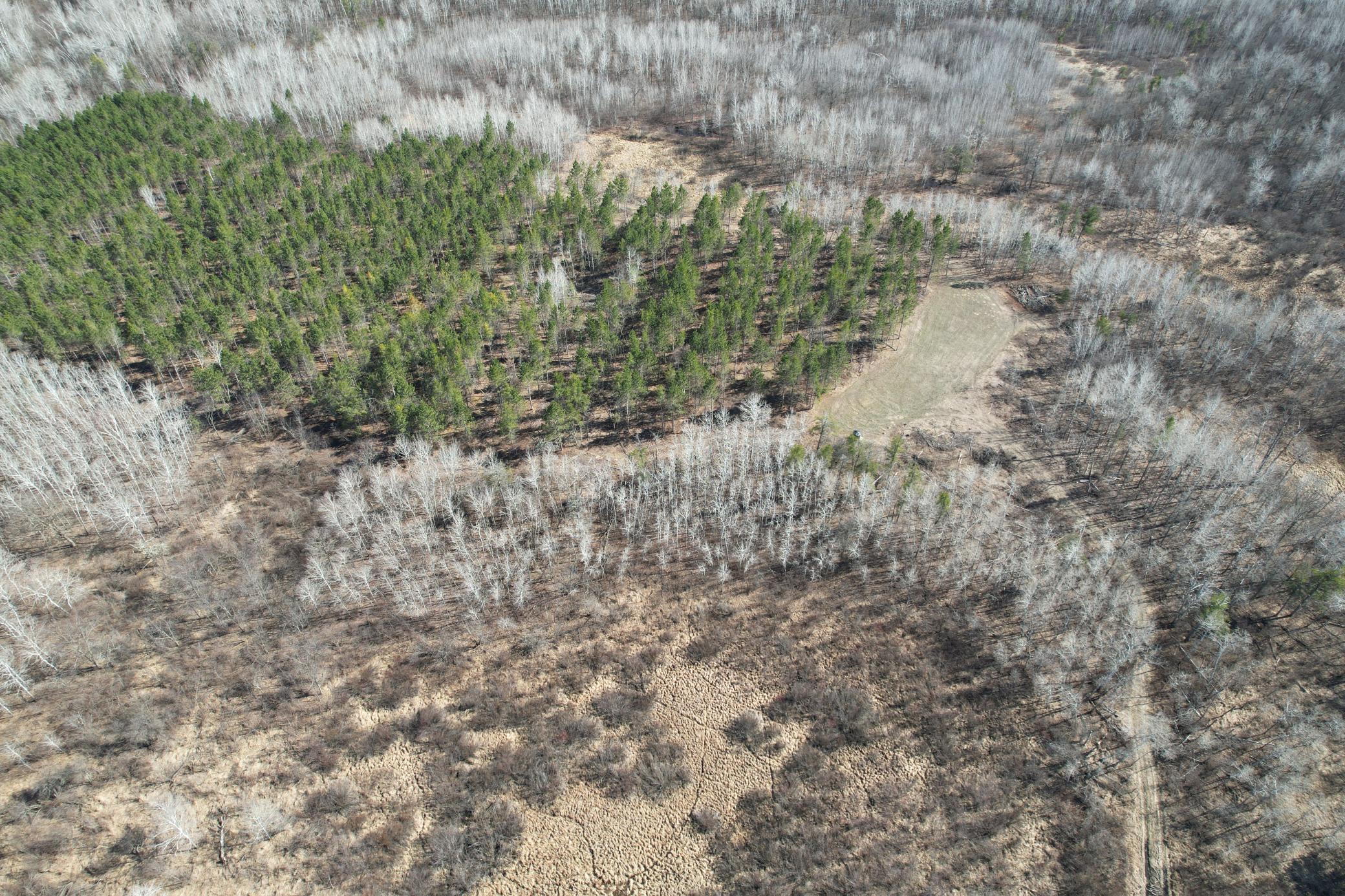 Tbd Anderson Crossing Road Sebeka, MN 56477 - Photo 7 of 55