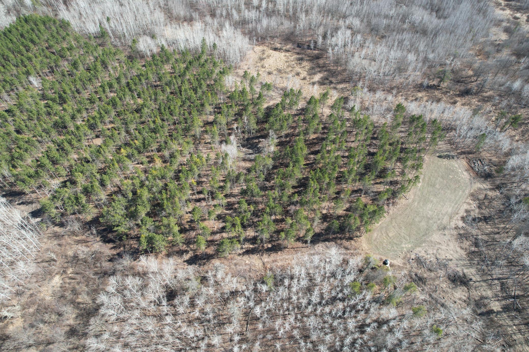 Tbd Anderson Crossing Road Sebeka, MN 56477 - Photo 8 of 55