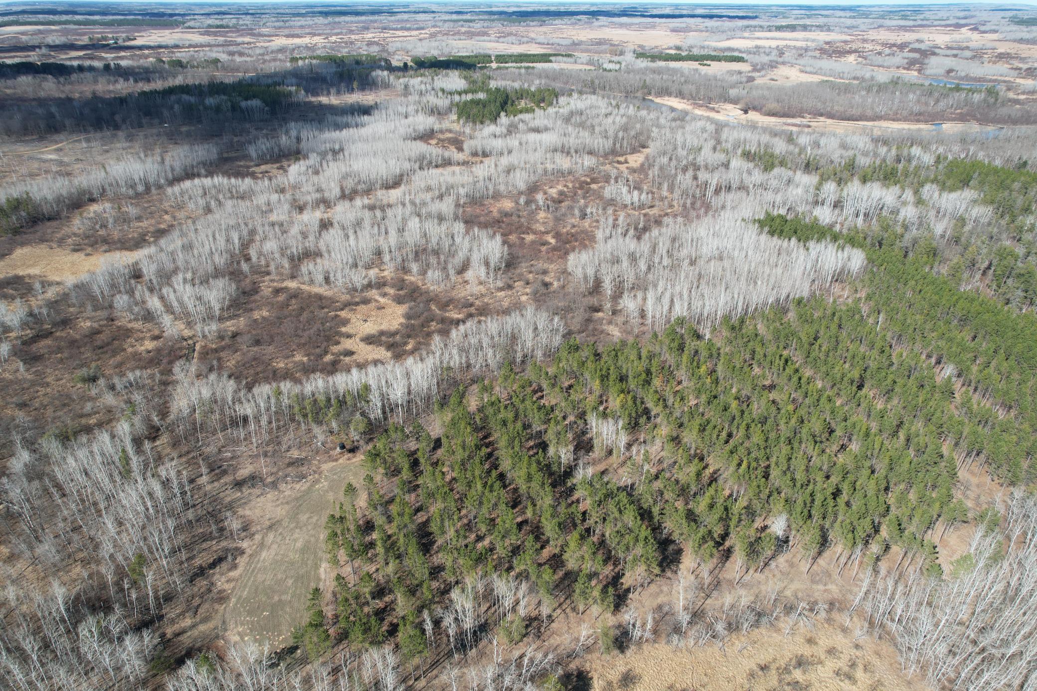 Tbd Anderson Crossing Road Sebeka, MN 56477 - Photo 9 of 55