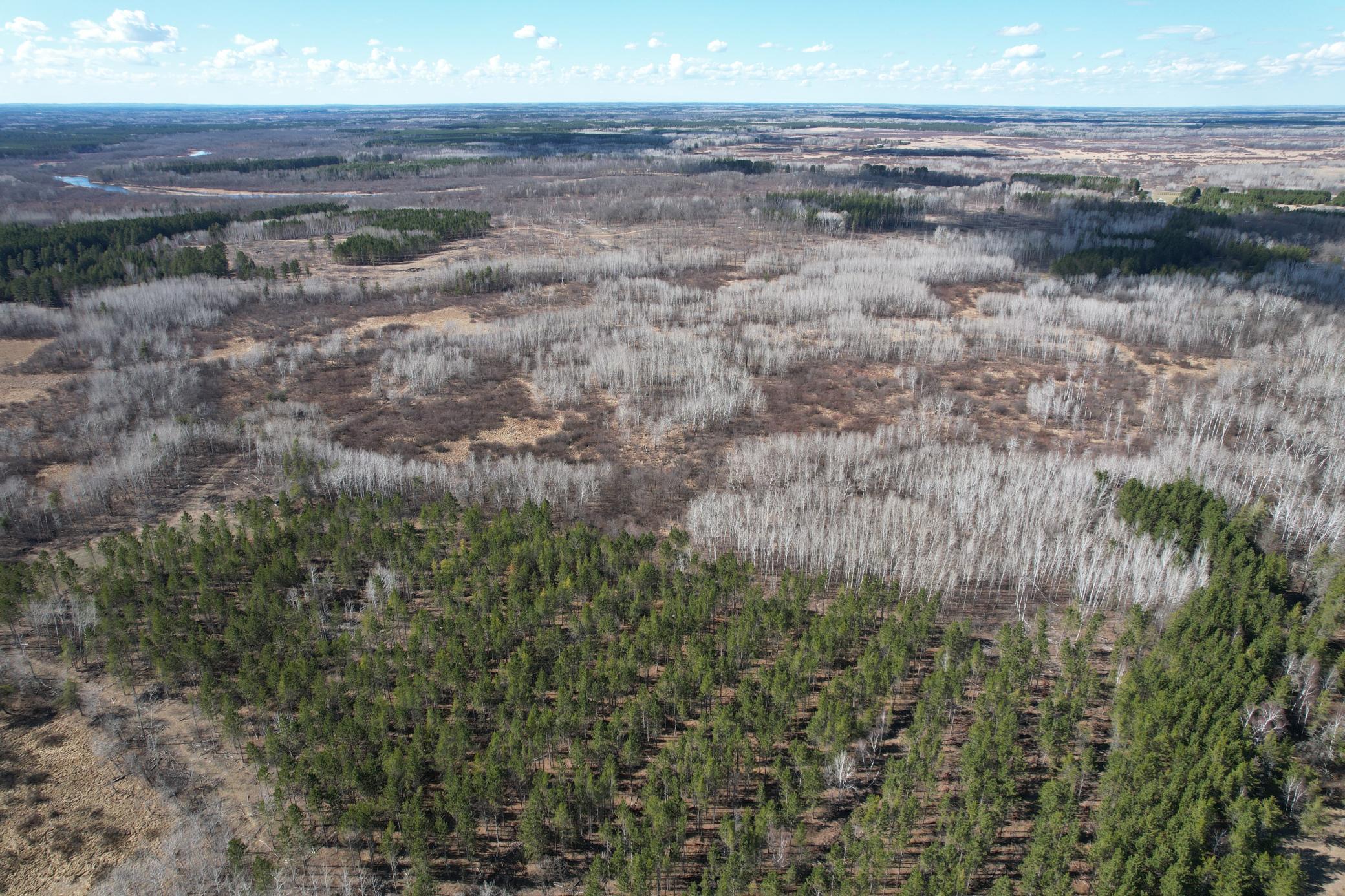 Tbd Anderson Crossing Road Sebeka, MN 56477 - Photo 10 of 55