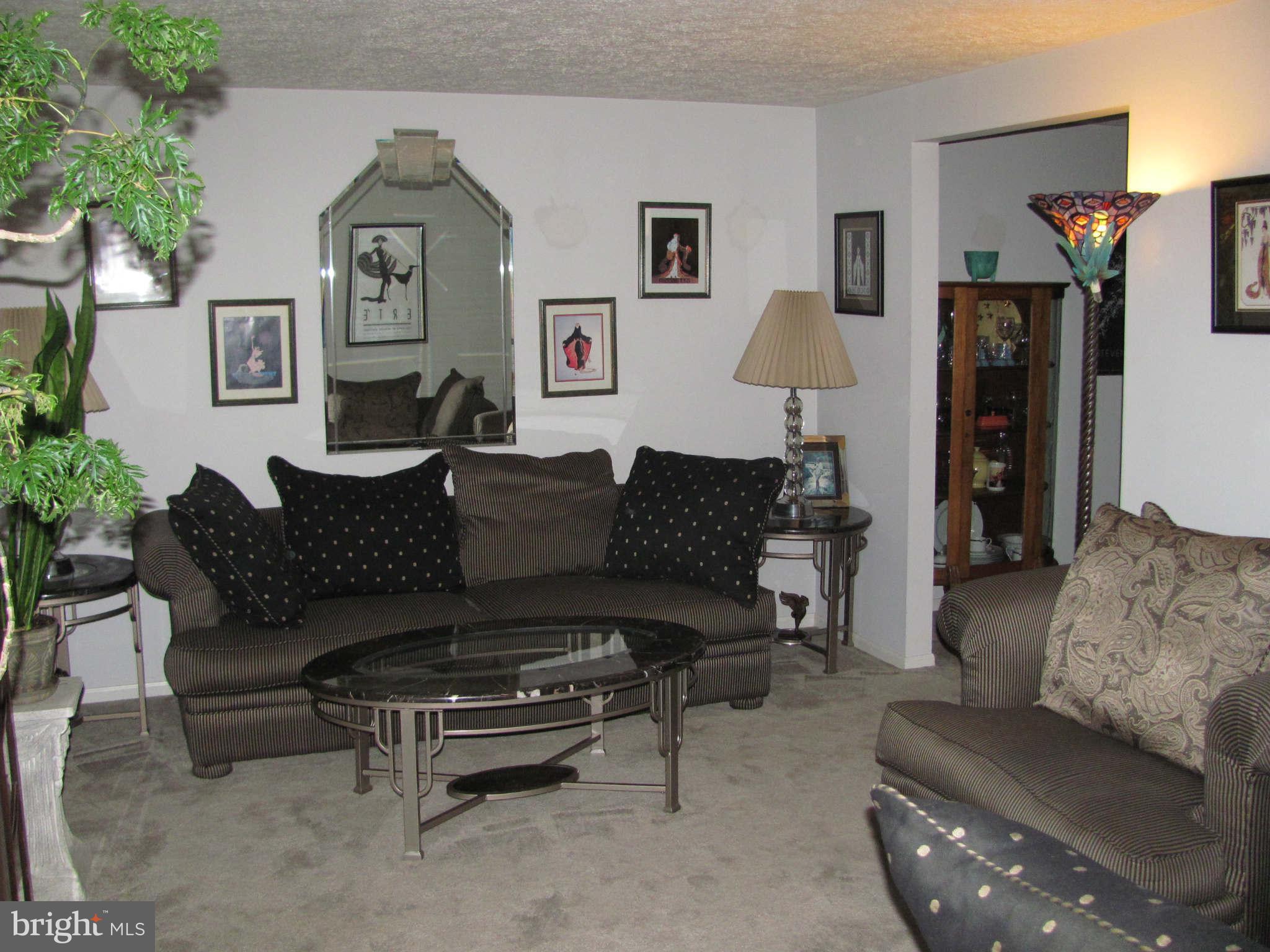 3105 Beethoven Way Silver Spring, MD 20904 - Photo 11 of 23 Living Room