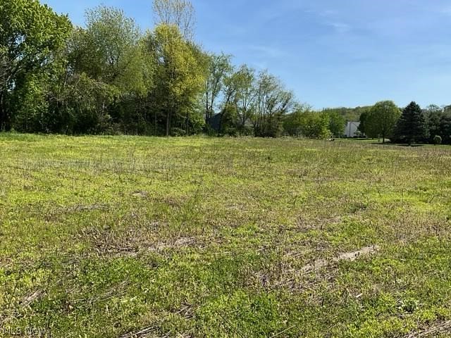 Hess Mill Road Bolivar, OH 44612 - Photo 17 of 19