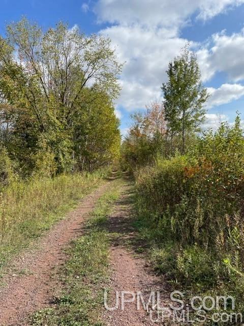 Tbd Lakehead Road Hurley, WI 54534 - Photo 2 of 7