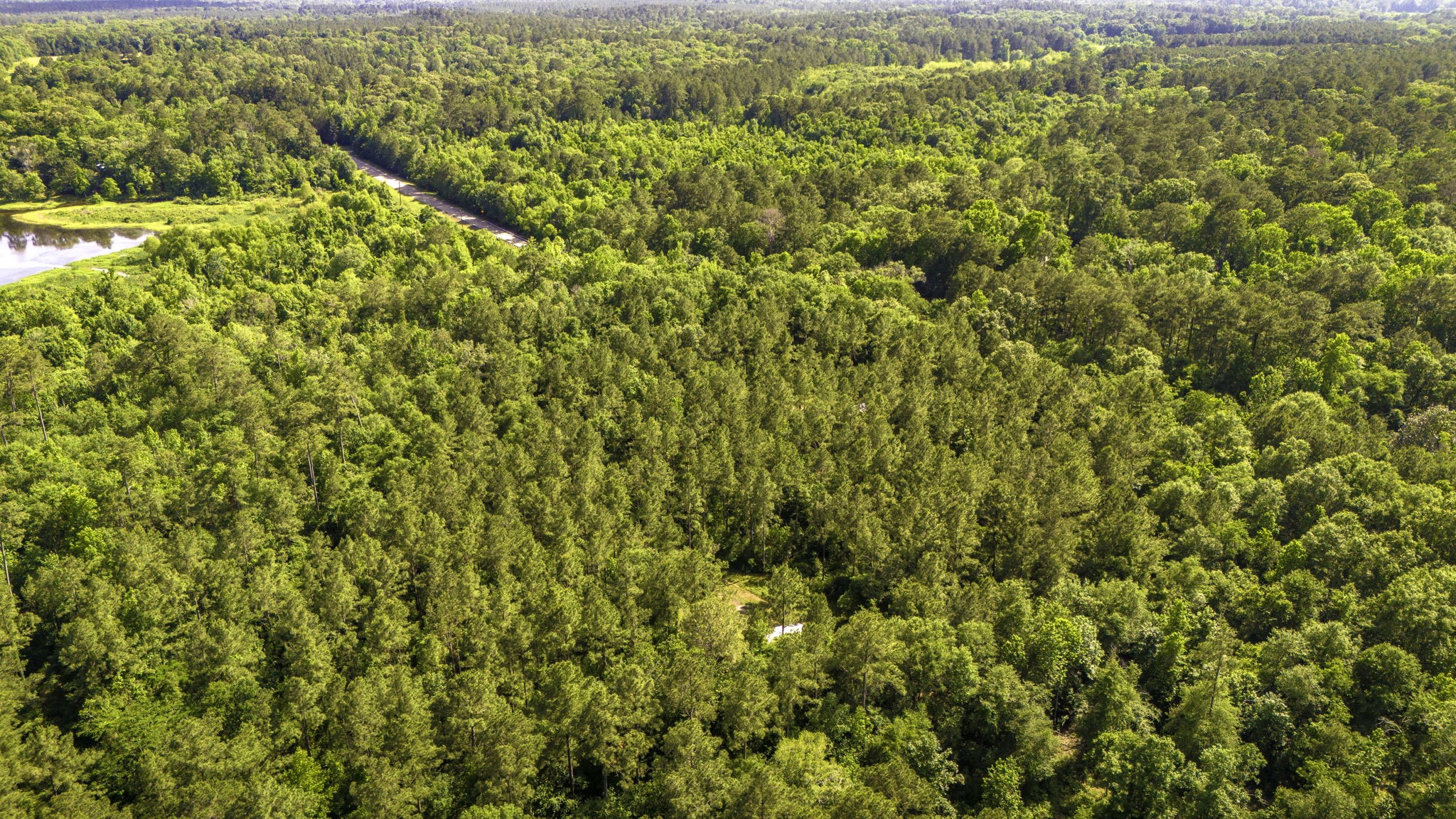 129 County Road 3160 Colmesneil, TX 75938 - Photo 26 of 40 Industrial grade underground water lines servicing both cabins.