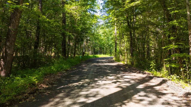 $189,900 | 129 County Road 3160, Colmesneil, TX 75938