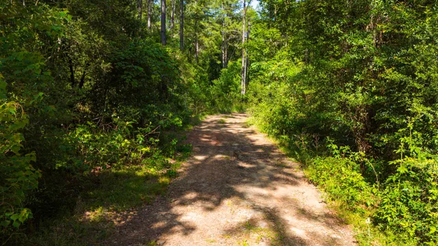 $189,900 | 129 County Road 3160, Colmesneil, TX 75938