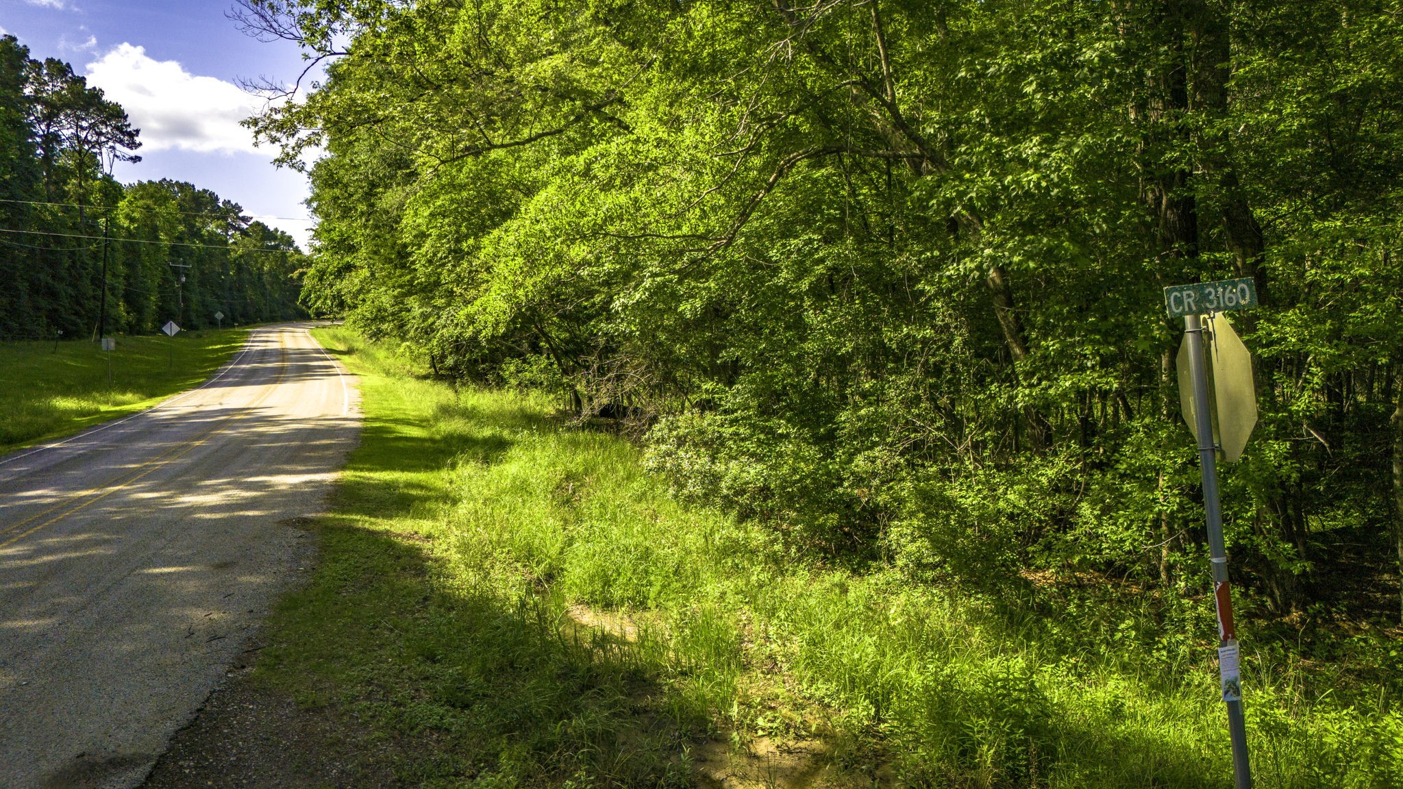 129 County Road 3160 Colmesneil, TX 75938 - Photo 40 of 40 Access and frontage on CR 3160