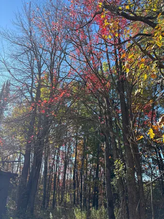 $164,000 | 82728 Shady Pine Road, Bruno, MN 55712