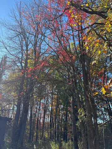 $169,000 | 82728 Shady Pine Road, Bruno, MN 55712