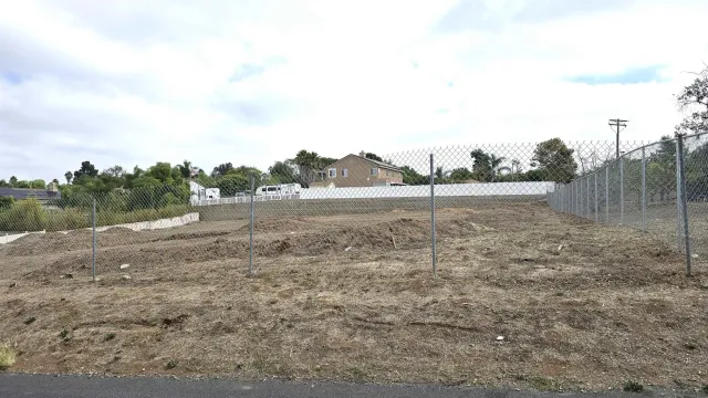 a view of a dry yard with trees