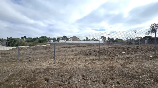 a view of a dry space with lots of trees