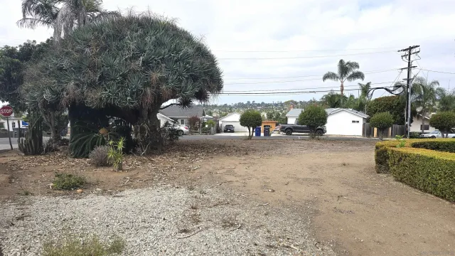 a view of house with a big yard plants and large trees
