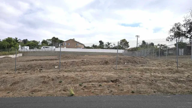 a view of a dry yard with trees