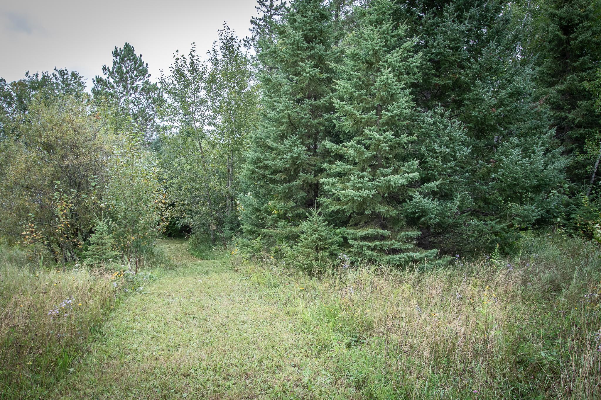 Tbd Libby Lake Road Nashwauk, MN 55769 - Photo 9 of 25