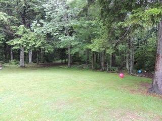 366 Cave Hill Road Waltham, ME 04605 - Photo 11 of 29 Yard/Garden.