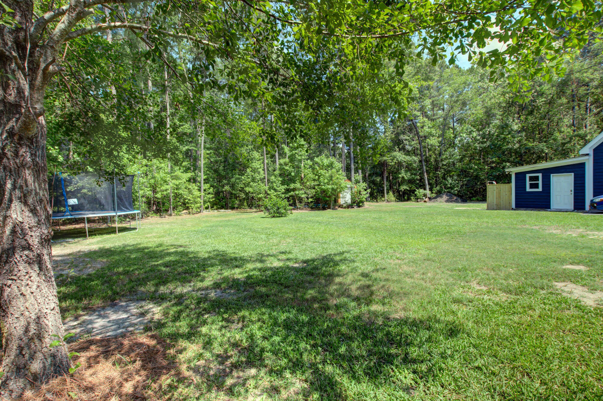265 Barons Road Summerville, SC 29483 - Photo 41 of 43 Back yard angle