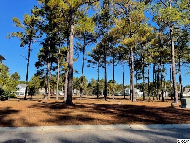 1135 Fiddlehead Way Myrtle Beach, SC 29579 - Photo 5 of 5 Gallery Image 5