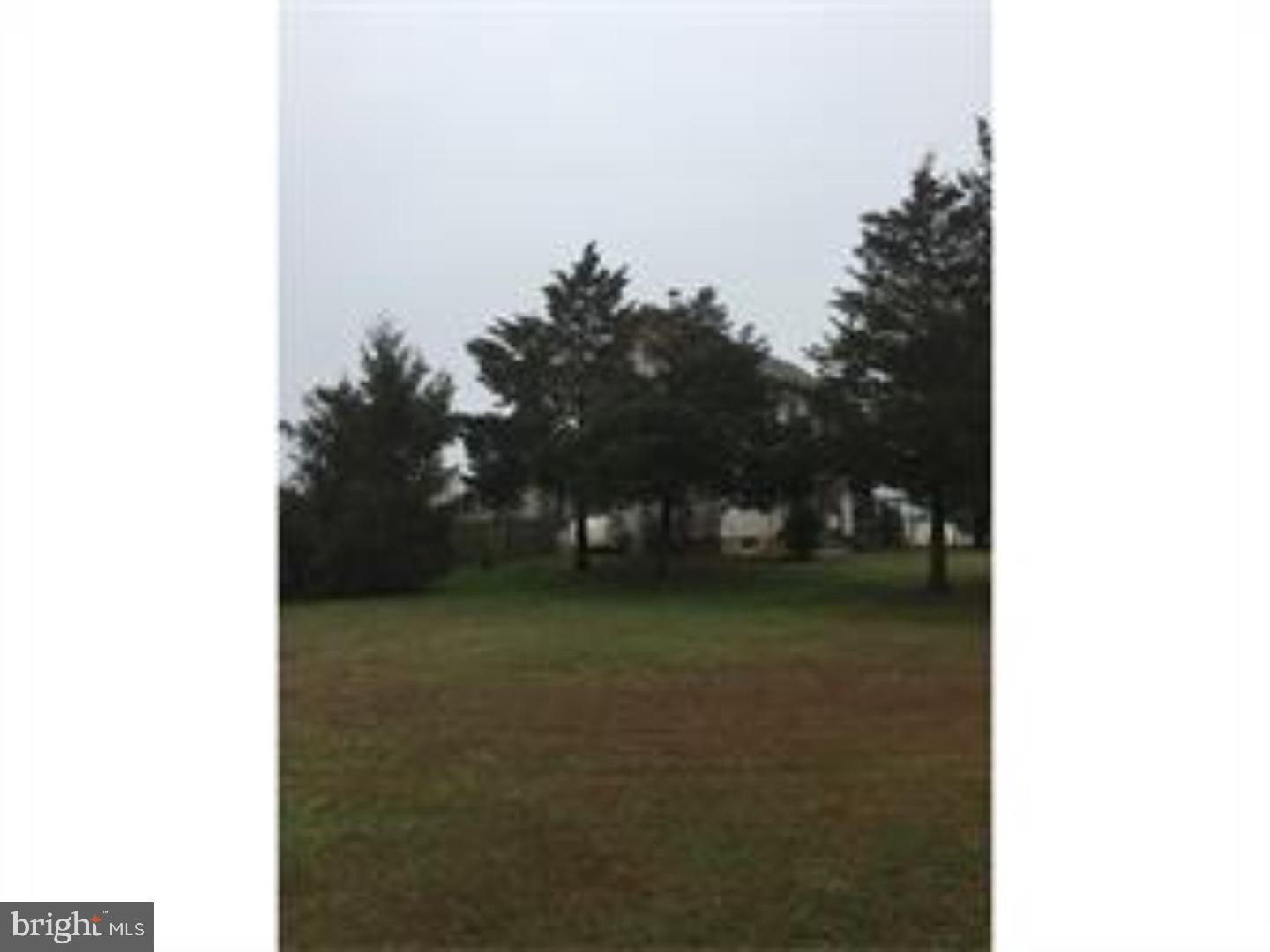 251 Finley Road Bridgeton, NJ 08302 - Photo 5 of 20