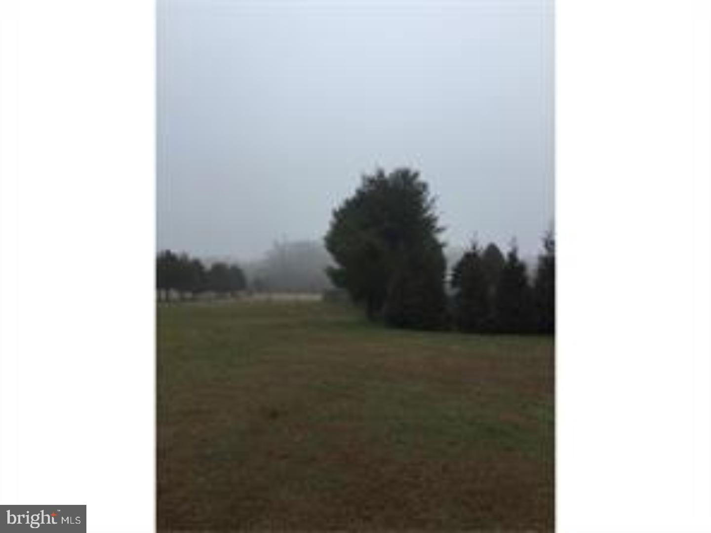251 Finley Road Bridgeton, NJ 08302 - Photo 6 of 20