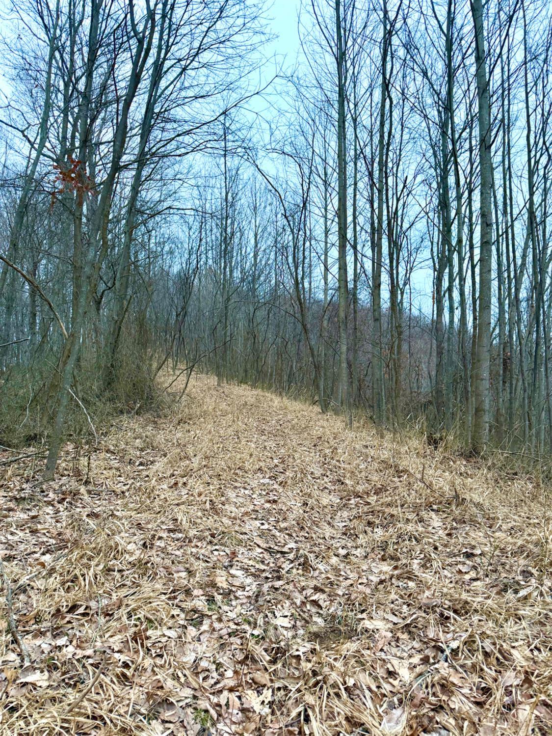 0 Straight Creek Road Waverly, OH 45690 - Photo 42 of 71