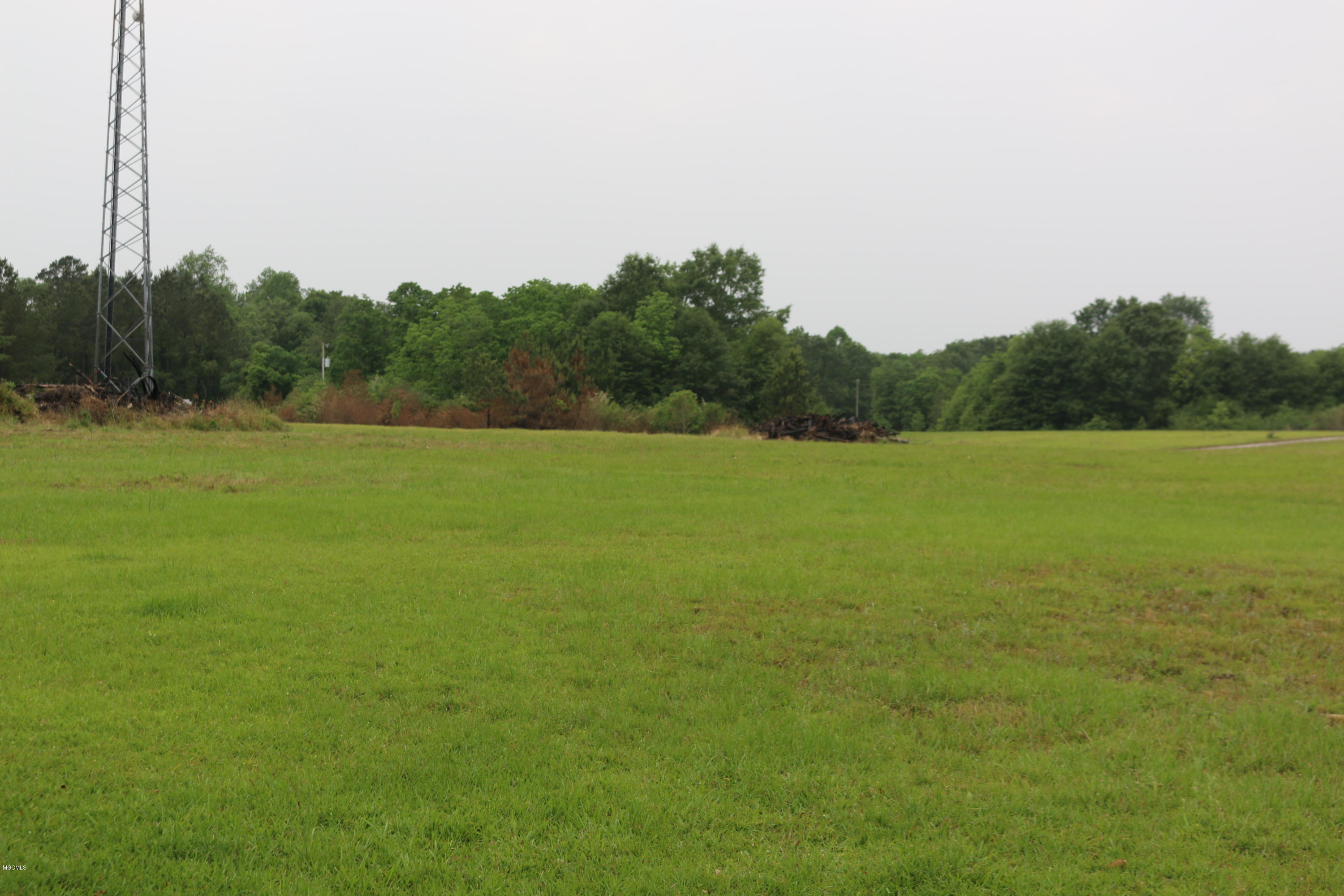 0 Monroe Breland Road Poplarville, MS 39470 - Photo 1 of 2 IMG_8822