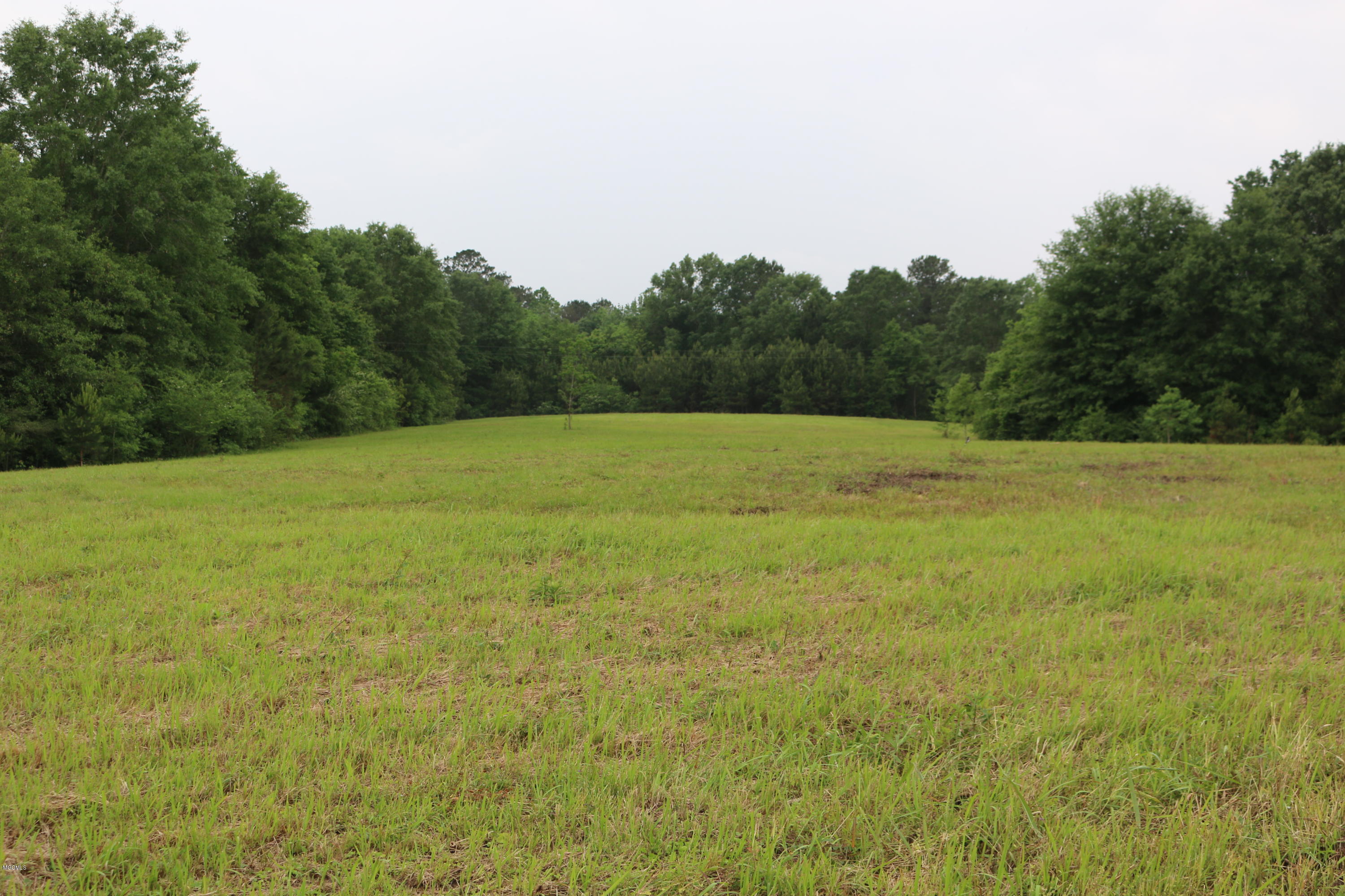 0 Monroe Breland Road Poplarville, MS 39470 - Photo 2 of 2 IMG_8827
